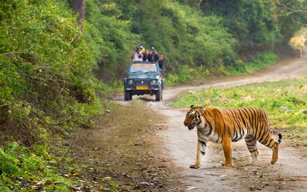 jim corbett tour packages from Delhi