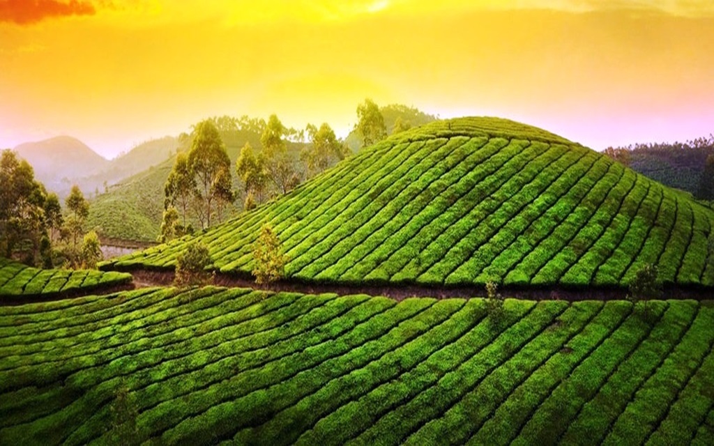 Kerala tour packages from Delhi